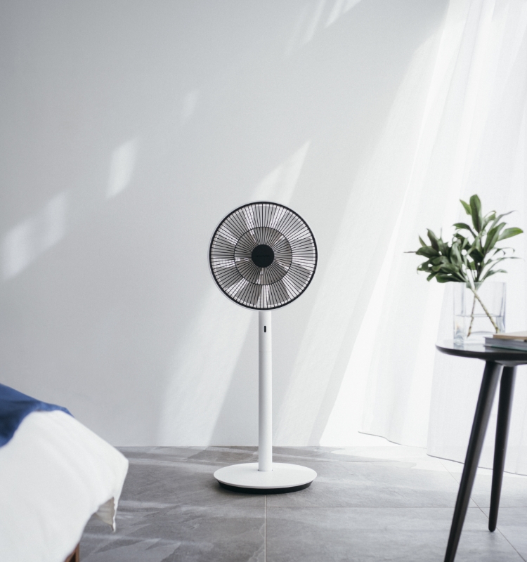 美品 BALMUDA Greenfan バルミューダ グリーンファン 扇風機-